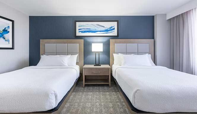 The Simon Hotel Sydney Exterior photo